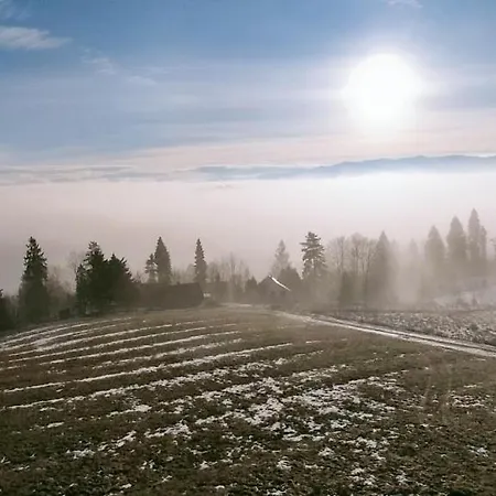 Daire Ski-bike-hike,